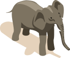 elephant image