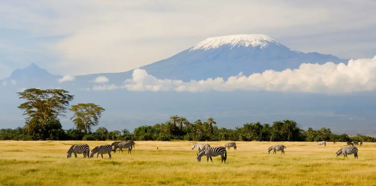 safari tanzania including Kilimanjaro hiking